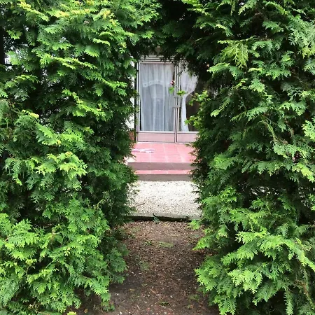 Maria Вилла Фоньод